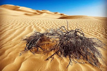 Rodinná dovolená v Ománu - Omán