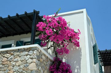Rose Bay - Řecko - Santorini - Kamari