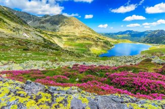 RUMUNSKO - TRANSYLVÁNIE - KARPATY A HRADY KNÍŽETE DRÁCULY - Rumunsko