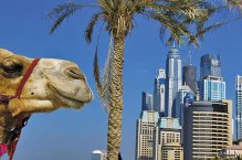 SAE - dobrodružství se Šejkem - Spojené arabské emiráty