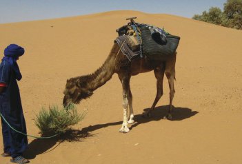 Safari a´la Bedouine v poušti Mhamed  - Maroko