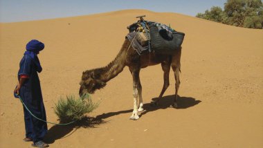 Safari a´la Bedouine v poušti Mhamed 