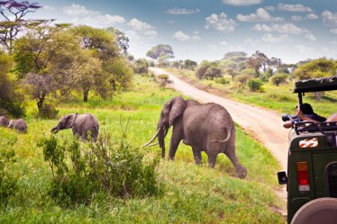 Safari - nejkrásnější národní parky Tanzánie