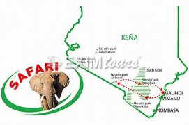 SAFARI - PO STOPÁCH ANTILOP - Keňa