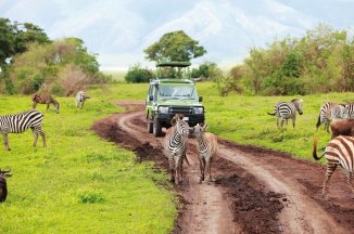 SAFARI – PO STOPÁCH ANTILOP - Keňa