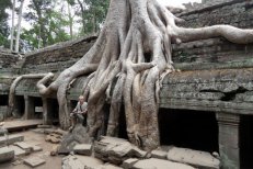 Saigon, Angkor, Pattaya - Vietnam