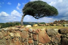 Sardinie - ostrov bílých pláží a divokých útesů - Itálie - Sardinie