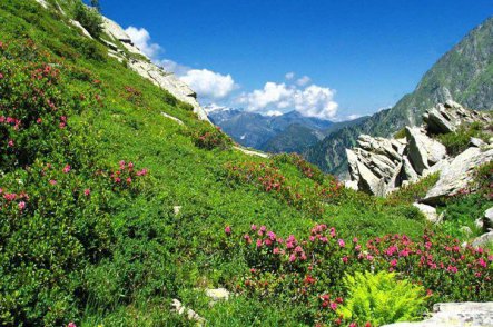 Savojské Alpy, NP Gran Paradiso a údolí Aosty - Francie
