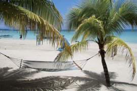 Sea Wind Resort - Jamajka - Negril 