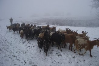 Silvestr v rumunském Banátu - Rumunsko