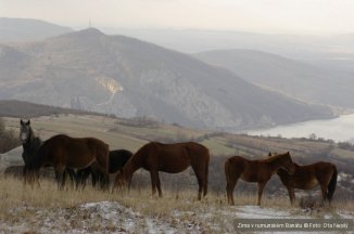 Silvestr v rumunském Banátu - Rumunsko