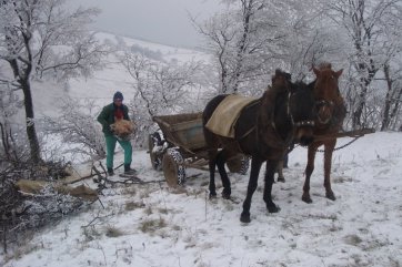 Silvestr v rumunském Banátu - Rumunsko