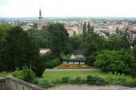 Slavnost růží v Badenu a Schönbrunn - Rakousko