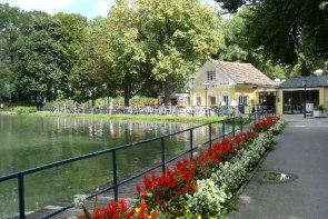 Slavnost růží v Badenu a Schönbrunn - Rakousko