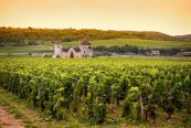 SLAVNOSTI NOVÉHO BEAUJOLAIS - světoznámá aukce vín v BEAUNE - Francie