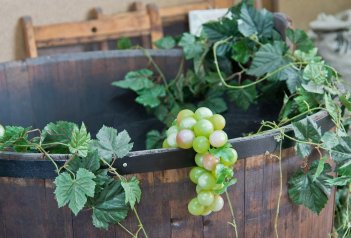 Slovácké slavnosti vína - Česká republika - Střední Morava