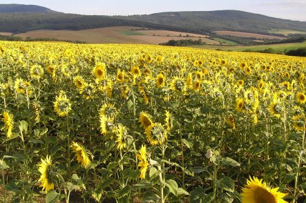 Slovenským rájem i vlakem - Slovensko