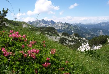 Slovinsko, hory, moře a jeskyně - Slovinsko