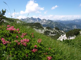 Slovinsko, hory, moře červen