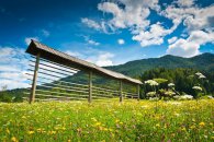 SLOVINSKO – JULSKÉ ALPY, RELAXACE A TURISTIKA - Slovinsko