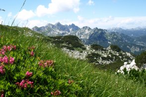 Slovinsko - Putování, relaxace a turistika v Julských Alpách - Slovinsko - Julské Alpy