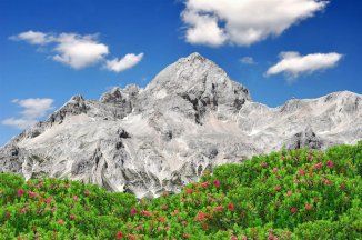 Slovinsko - Triglavský NP, jezera Bled a Bohinj - Wellness pobyt - Slovinsko