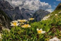 Slovinsko, přes Julské Alpy na jadranské pláže - Slovinsko - Bohinjské jezero