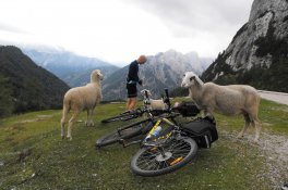 Slovinsko, přes Julské Alpy na jadranské pláže - Slovinsko - Bohinjské jezero