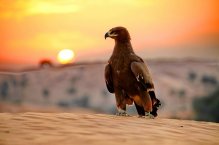 SOFITEL ABU DHABI CORNICHE - Spojené arabské emiráty - Abú Dhábí