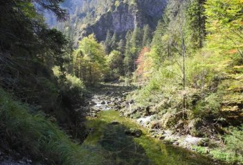 Soutěsky a vodopády Ötcheru - Rakousko