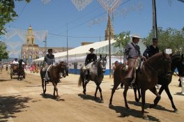 Španělsko - poklady Andalusie - Španělsko - Andalusie