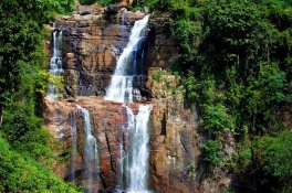 Srí Lanka - exotický ráj - královská města, národní parky, Indický oceán - Srí Lanka