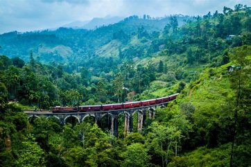 SRÍ LANKA - OSTROV BUDDHŮ A SLONŮ - Srí Lanka