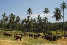 Šrí Lanka pro malé dobrodruhy - Srí Lanka