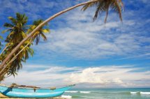 Srí Lanka - Tropický ráj zvířat - Srí Lanka