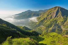Srí Lanka - za krásami exotického ostrova až na jižní pobřeží - Srí Lanka
