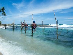 Srí Lanka - za krásami exotického ostrova až na jižní pobřeží