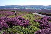 Starobylá Anglie, Jezerní oblast a severní Wales - Velká Británie