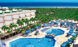 STELLA PARADISE