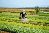 Střední a jižní Vietnam a relax v Mui Ne - Vietnam