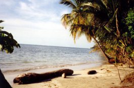 Střední Amerika - Grand Tour - Salvador