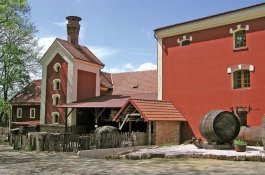 Středověký hotel - Česká republika - Český ráj - Dětenice