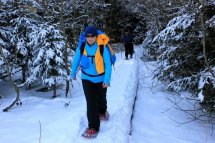 Šumava na sněžnicích - Česká republika - Šumava