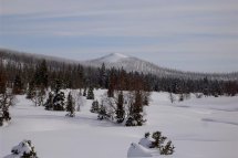 Šumava na sněžnicích - Česká republika - Šumava