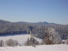 Šumava na sněžnicích