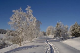 Šumava na sněžnicích - Česká republika - Šumava