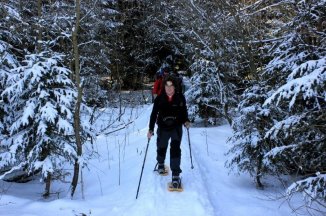 Šumava na sněžnicích - Česká republika - Šumava