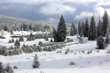 Šumava na sněžnicích - Česká republika - Šumava