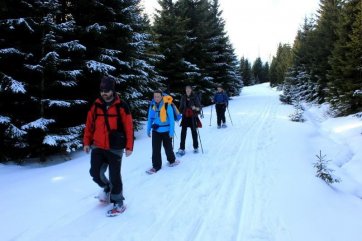 Šumava na sněžnicích - Česká republika - Šumava