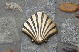 Španělsko - Svatojakubská cesta, Burgos, Ávila s pěšími výlety - Španělsko